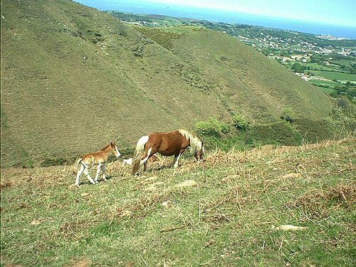 Mai 2002
