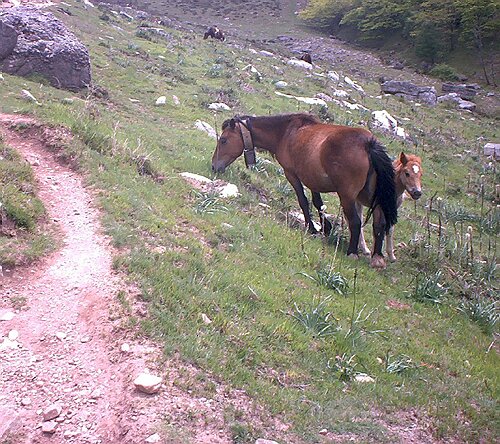 Mai 2002