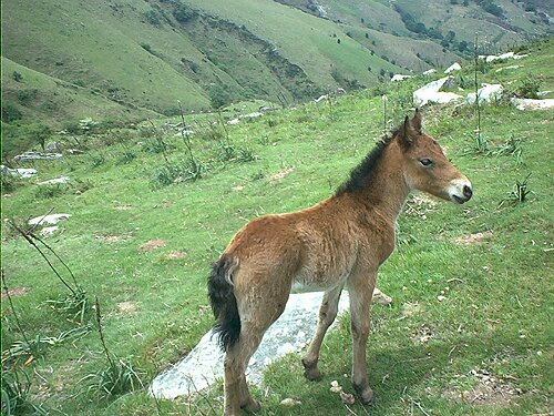 Mai 20002